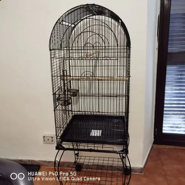 gabbia+inseparabili  | Foto 1