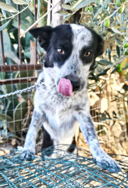 Elsa cerca casa urgentemente  | Foto 1