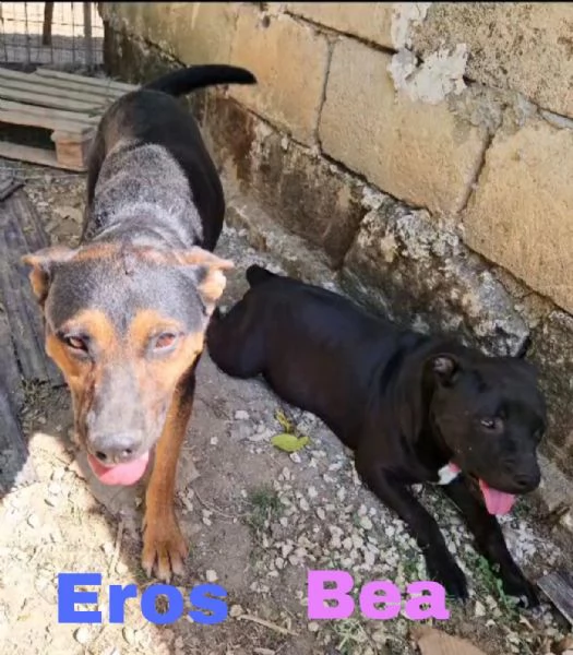 Eros e Bea cercano casa 