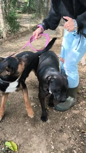 Eros e Bea cercano casa  | Foto 1