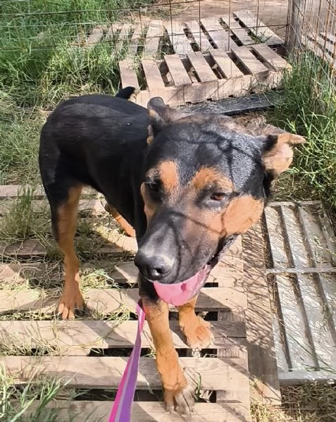 Eros e Bea cercano casa  | Foto 0