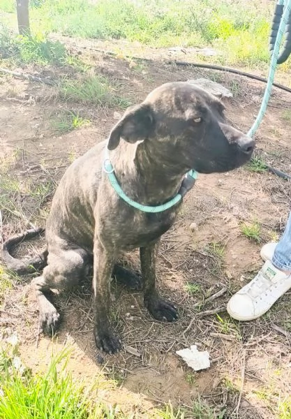 Apri il mio box portami a casa con te | Foto 6