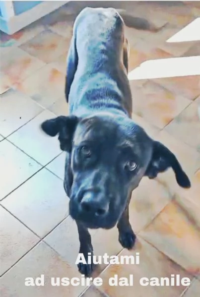 Apri il mio box portami a casa con te | Foto 5