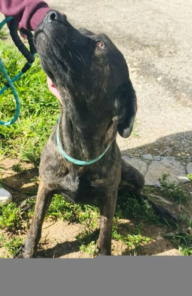 Apri il mio box portami a casa con te | Foto 4