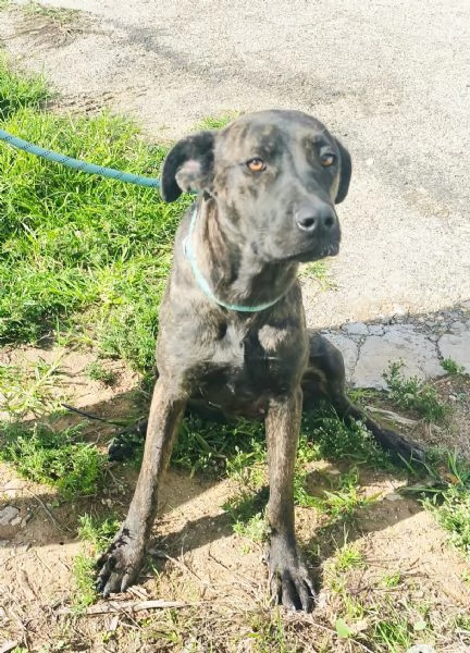 Apri il mio box portami a casa con te | Foto 2