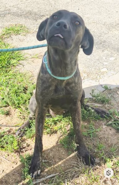 Apri il mio box portami a casa con te | Foto 1