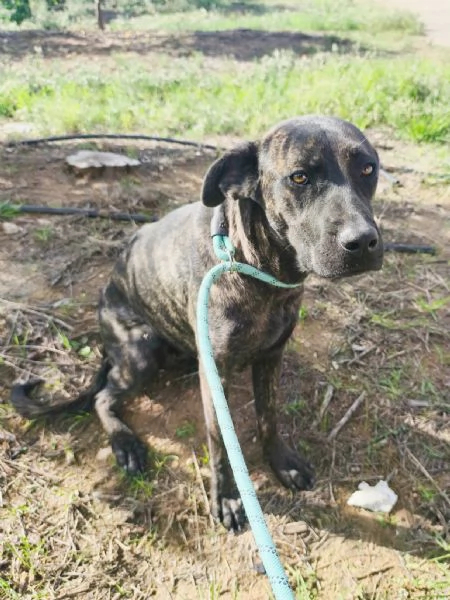 Apri il mio box portami a casa con te | Foto 0