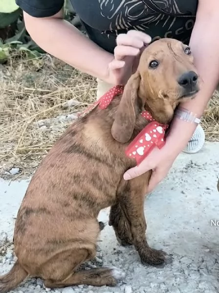 Sceglimi portami a casa con te | Foto 5