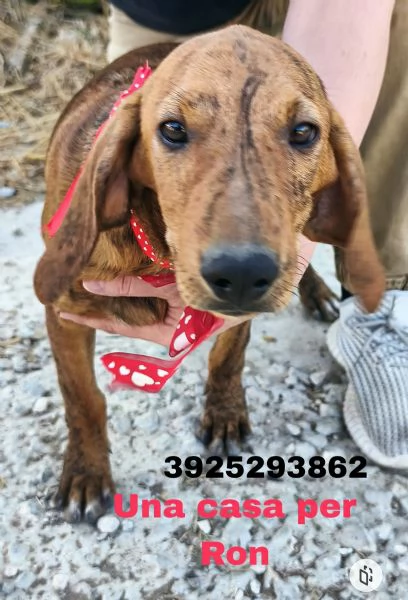 Sceglimi portami a casa con te