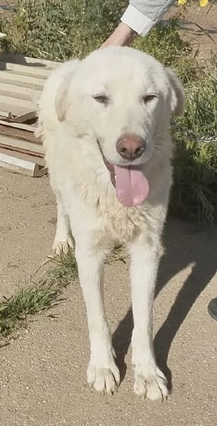 Un amorevole famiglia per Joy | Foto 3