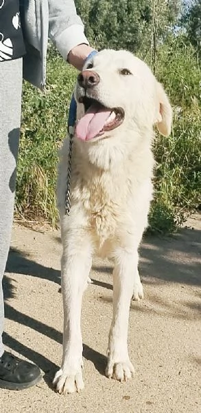 Un amorevole famiglia per Joy | Foto 2