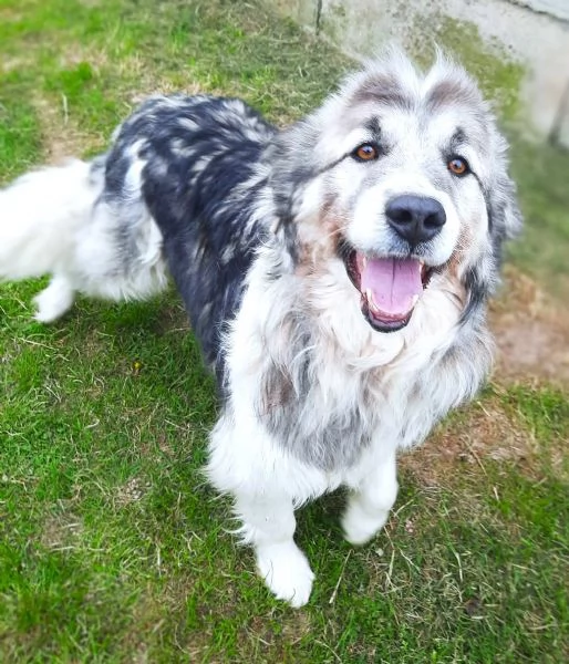 E finalmente il turno di Bersy