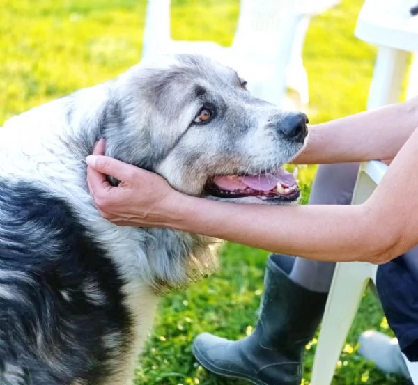 E finalmente il turno di Bersy | Foto 6