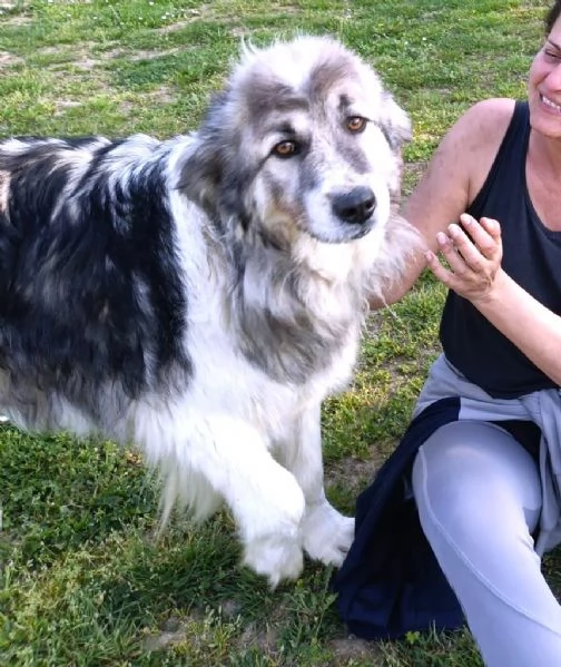 E finalmente il turno di Bersy | Foto 5