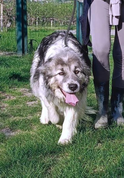 E finalmente il turno di Bersy | Foto 4