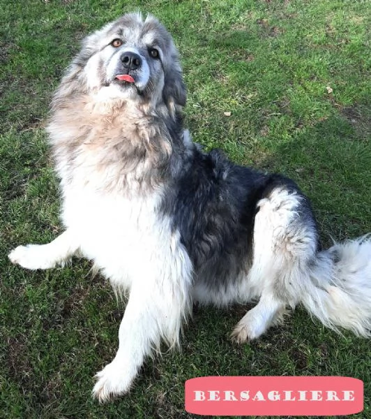 E finalmente il turno di Bersy | Foto 3