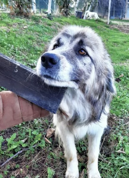 E finalmente il turno di Bersy | Foto 2