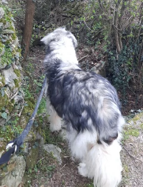 E finalmente il turno di Bersy | Foto 1