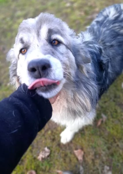 E finalmente il turno di Bersy | Foto 0