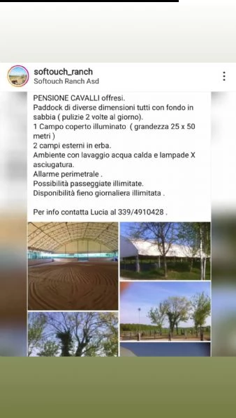 pensione cavalli 