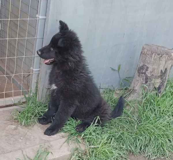 disponibile | Foto 0