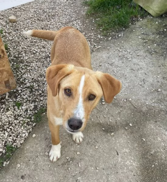 SOS SOS OLIVER | Foto 1