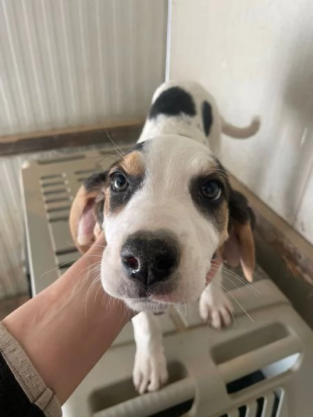 LA DOLCE SELENE ASPETTA TE | Foto 1