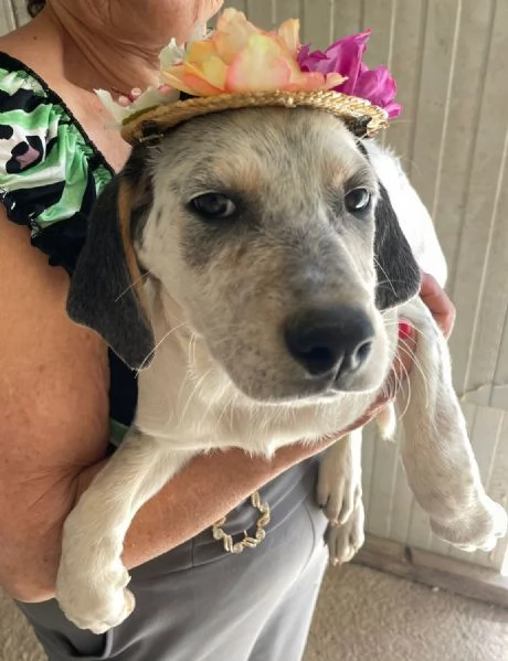 LA DOLCE SELENE ASPETTA TE
