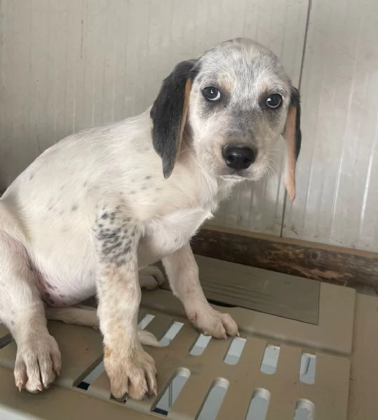 SELENE E SIRYA | Foto 5