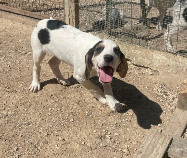 SELENE E SIRYA | Foto 4