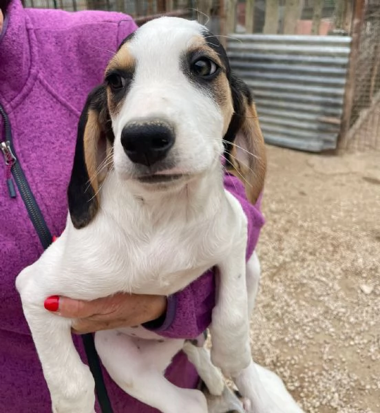 SELENE E SIRYA | Foto 1