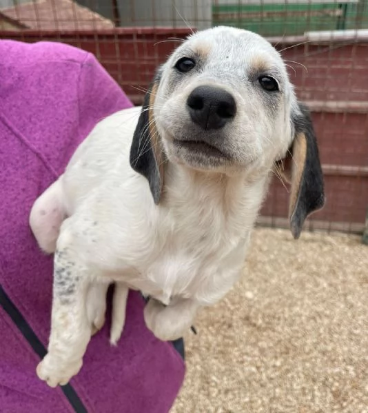 SELENE E SIRYA | Foto 0