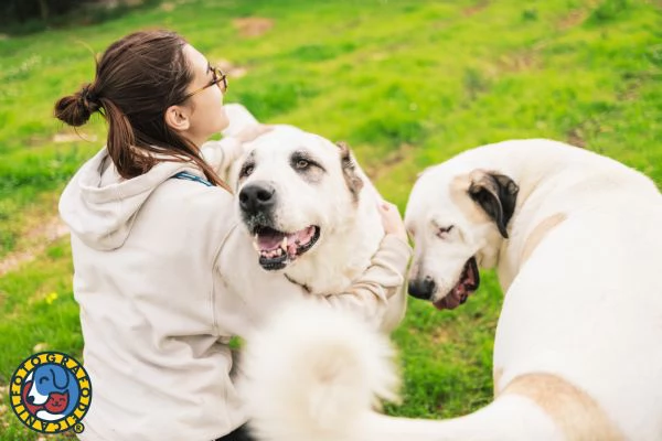 Sarabi e Simba mamma e figlio