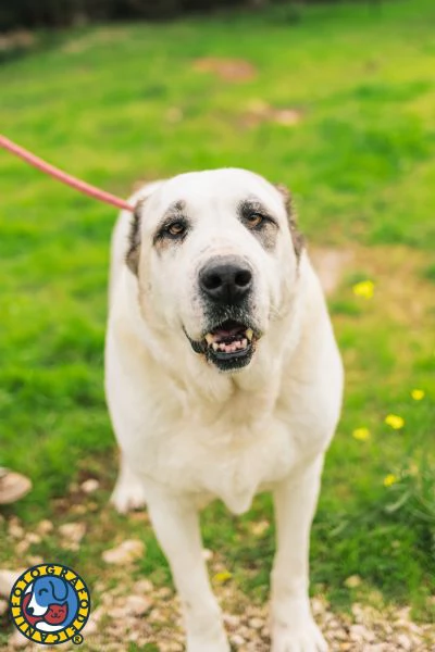 Sarabi e Simba mamma e figlio | Foto 0