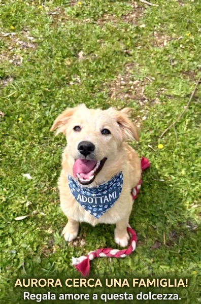 Aurora merita una famiglia  | Foto 2