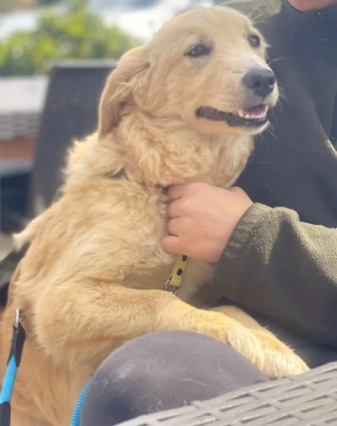 Aurora merita una famiglia 