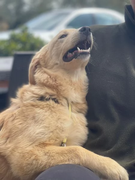 Aurora merita una famiglia  | Foto 1