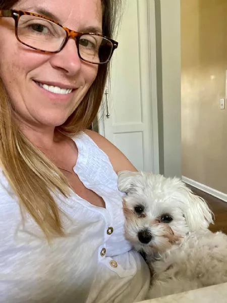 bellissimi cuccioli di maltese akc teacup disponibili regalo di famiglia per te abbiamo tre bellissi | Foto 1