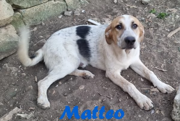 Matteo  gioioso e amorevole | Foto 0