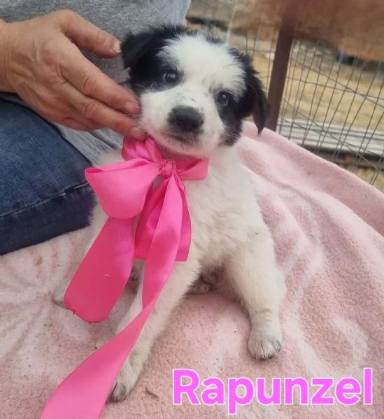 Rapunzel  dopo il taglio di capelli | Foto 4