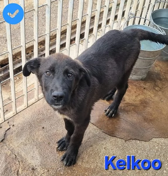 Kelkoo | Foto 5
