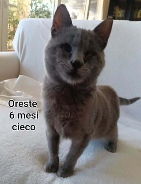 micini invisibili ed esclusi da chiunque | Foto 6