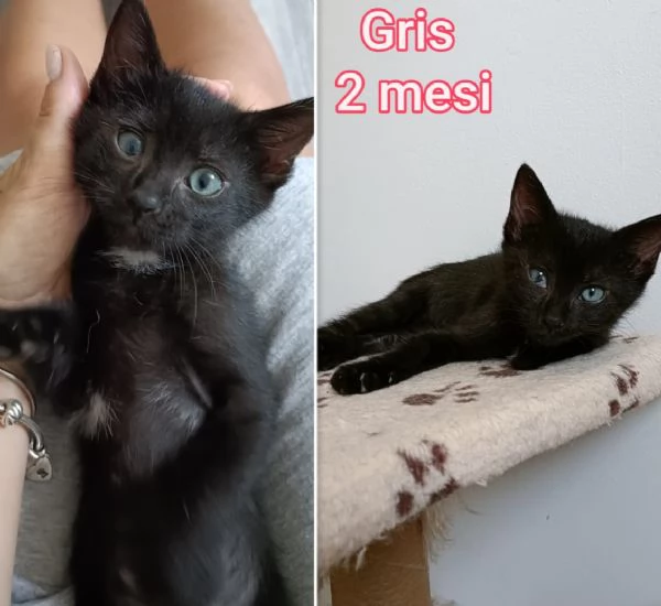 micini invisibili ed esclusi da chiunque | Foto 5