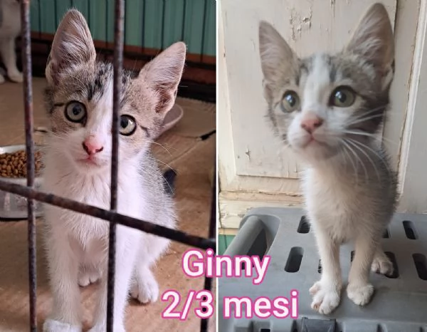 micini invisibili ed esclusi da chiunque