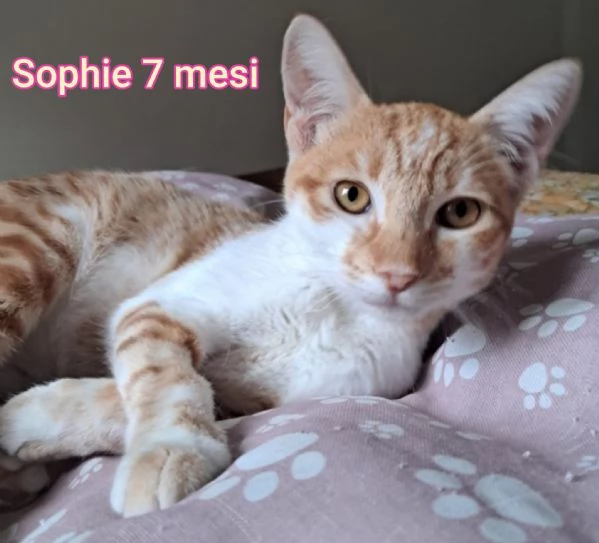 micini invisibili ed esclusi da chiunque