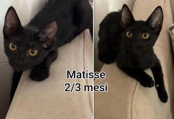micini invisibili ed esclusi da chiunque | Foto 6