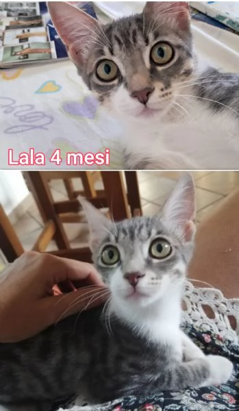 micini invisibili ed esclusi da chiunque | Foto 5