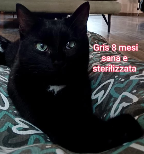 micini invisibili ed esclusi da chiunque | Foto 5