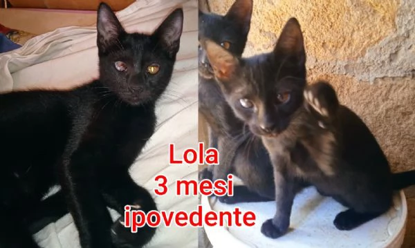 micini invisibili ed esclusi da chiunque | Foto 5