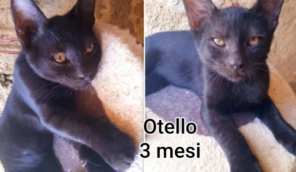micini invisibili ed esclusi da chiunque | Foto 4